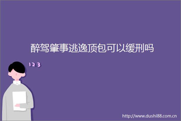 醉驾肇事逃逸顶包可以缓刑吗