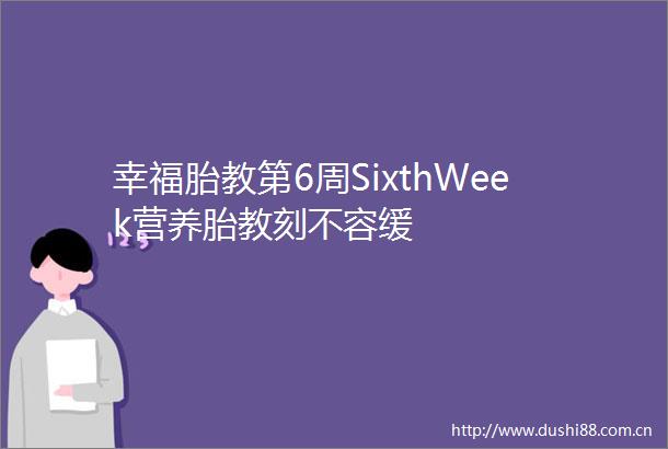 幸福胎教第6周SixthWeek营养胎教刻不容缓