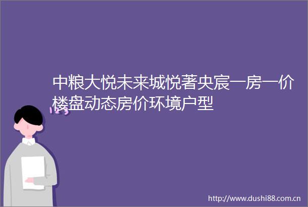 中粮大悦未来城悦著央宸一房一价楼盘动态房价环境户型