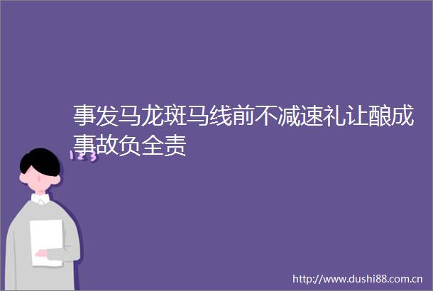 事发马龙斑马线前不减速礼让酿成事故负全责