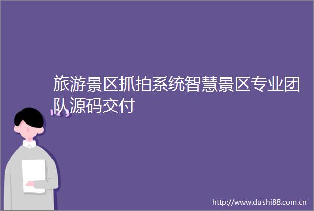 旅游景区抓拍系统智慧景区专业团队源码交付