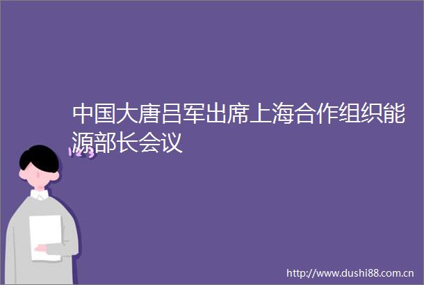 大唐吕军出席上海合作组织能源部长会议