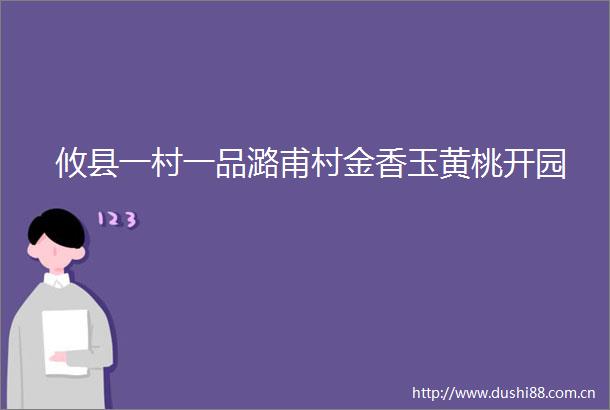 攸县一村一品潞甫村金香玉黄桃开园