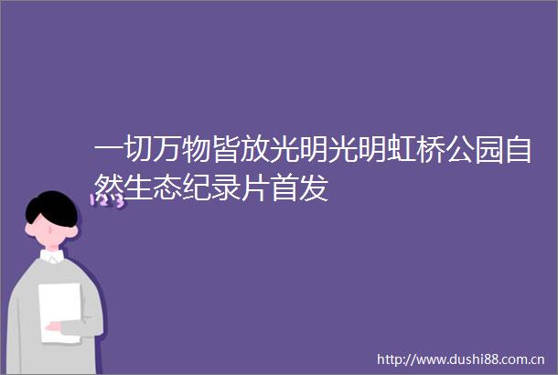 一切万物皆放光明光明虹桥公园自然生态纪录片首发