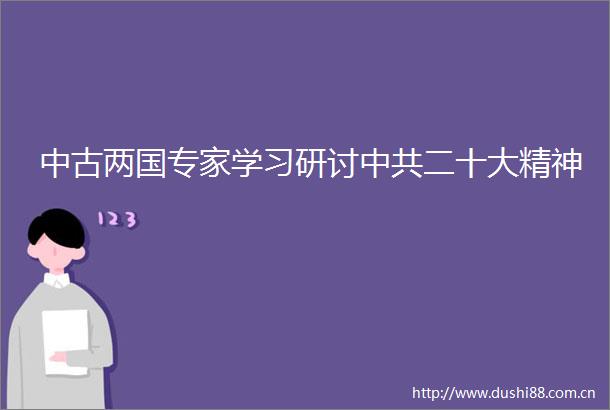中古两国专家学习研讨二十大精神
