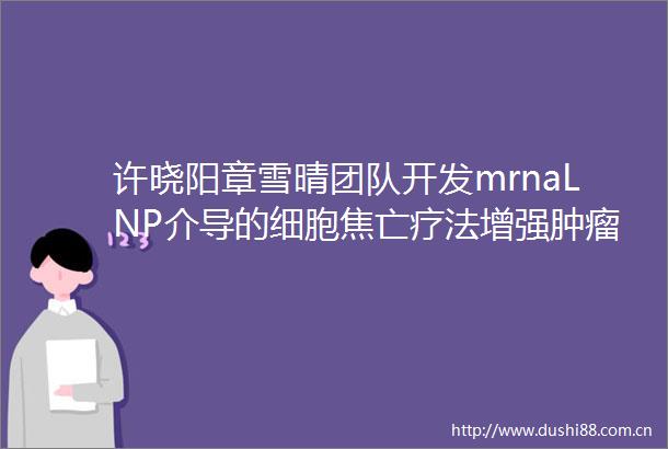 许晓阳章雪晴团队开发mrnaLNP介导的细胞焦亡疗法增强肿瘤免疫治疗效果