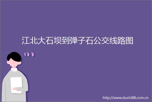 江北大石坝到弹子石公交线路图