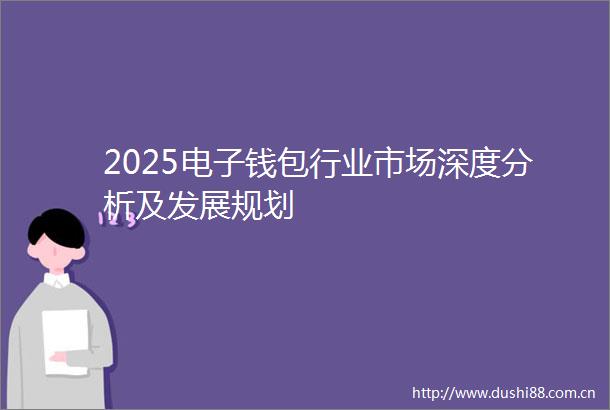 2025电子钱包行业市场深度分析及发展规划