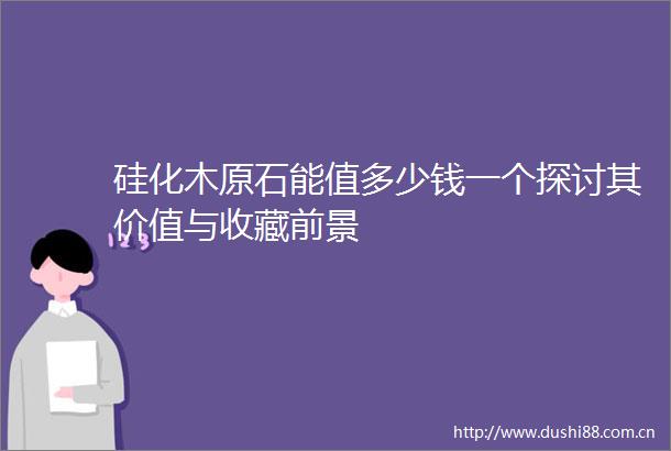 硅化木原石能值多少钱一个探讨其价值与收藏前景