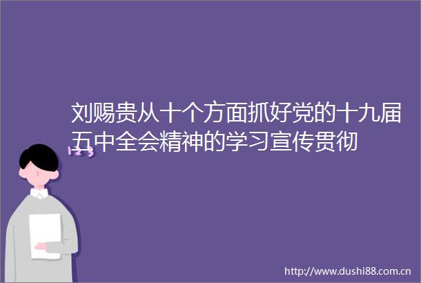 刘赐贵从十个方面抓好党的十九届五中全会精神的学习宣传贯彻