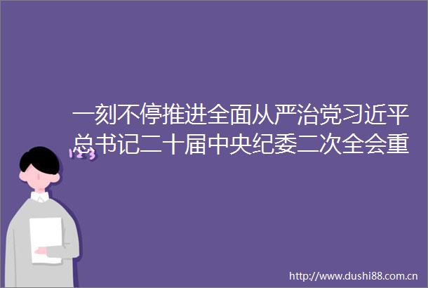 一刻不停推进全面从严治党总书记二十届中央纪委二次全会重要讲话引发热烈反响