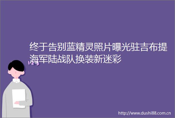 终于告别蓝精灵照片驻吉布提海军陆战队换装新迷彩