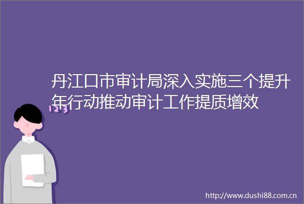 丹江口市审计局深入实施三个提升年行动推动审计工作提质增效