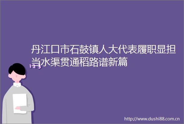 丹江口市石鼓镇人大代表履职显担当水渠贯通稻路谱新篇