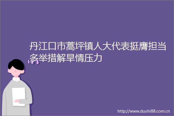 丹江口市蒿坪镇人大代表挺膺担当多举措解旱情压力