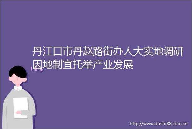 丹江口市丹赵路街办人大实地调研因地制宜托举产业发展