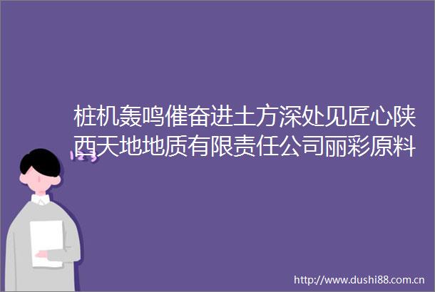 桩机轰鸣催奋进土方深处见匠心陕西天地地质有限责任公司丽彩原料药及中间体项目纪实攻坚