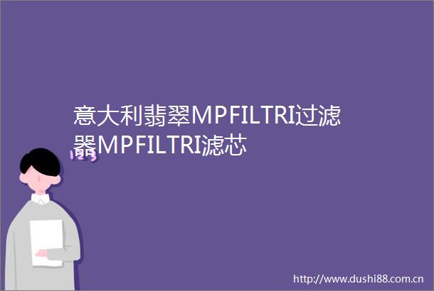 意大利翡翠MPFILTRI过滤器MPFILTRI滤芯