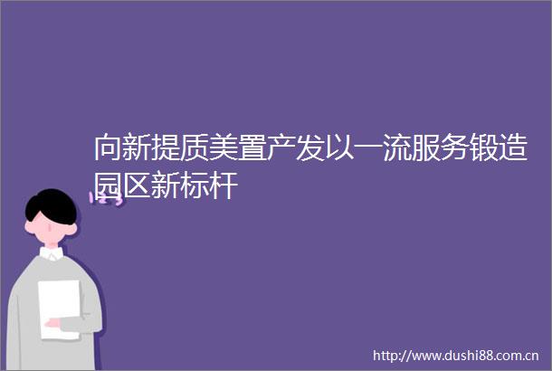 向新提质美置产发以一流服务锻造园区新标杆