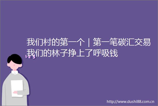 我们村的第一个｜第一笔碳汇交易我们的林子挣上了呼吸钱