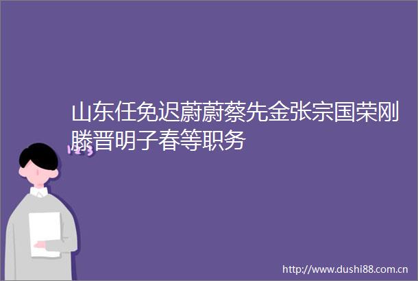 山东任免迟蔚蔚蔡先金张宗国荣刚滕晋明子春等职务