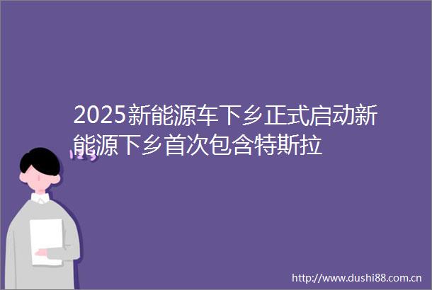 2025新能源车下乡正式启动新能源下乡首次包含特斯拉