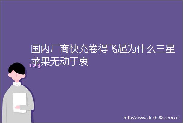 国内厂商快充卷得飞起为什么三星苹果无动于衷
