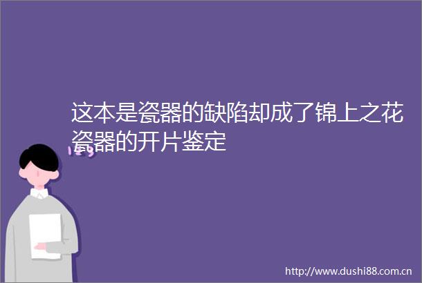 这本是瓷器的缺陷却成了锦上之花瓷器的开片鉴定