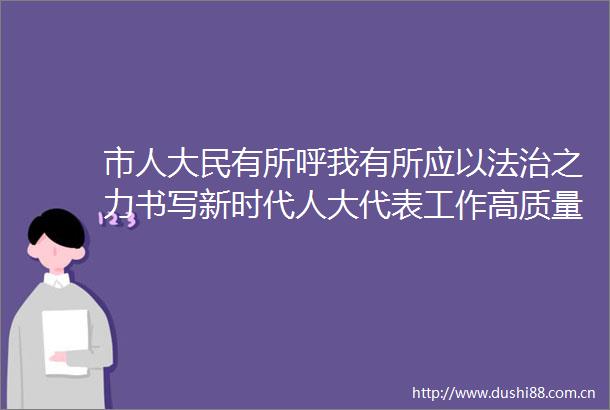 市人大民有所呼我有所应以法治之力书写新时代人大代表工作高质量答卷