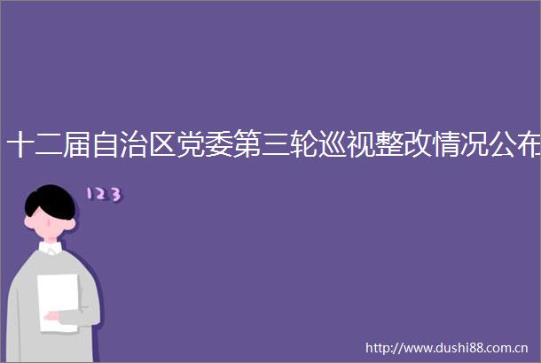 十二届自治区党委第三轮巡视整改情况公布