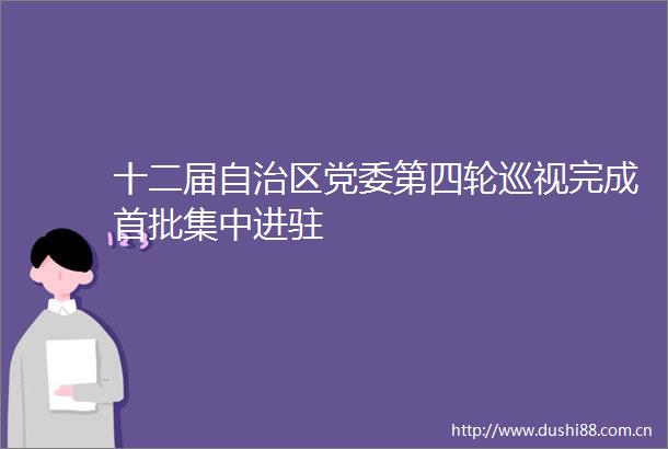 十二届自治区党委第四轮巡视完成首批集中进驻