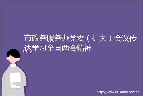 市政务服务办党委（扩大）会议传达学习全国两会精神