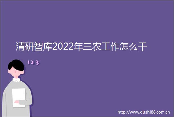 清研智库2022年三农工作怎么干