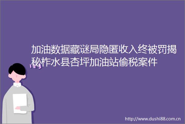 加油数据藏谜局隐匿收入终揭秘柞水县杏坪加油站偷税案件