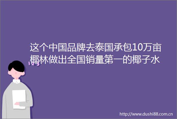 这个品牌去泰国承包10万亩椰林做出全国销量第一的椰子水