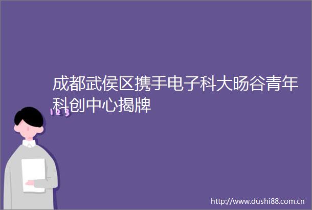 成都武侯区携手电子科大旸谷青年科创中心揭牌