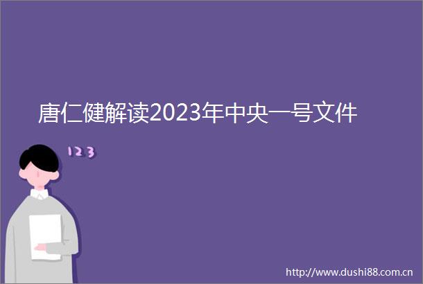 唐仁健解读2023年中央一号文件