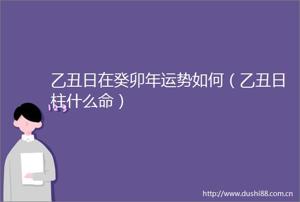 乙丑日在癸卯年运势如何（乙丑日柱什么命）