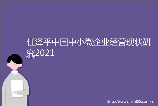 任泽平中小微企业经营现状研究2021