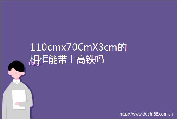 110cmx70CmX3cm的相框能带上高铁吗