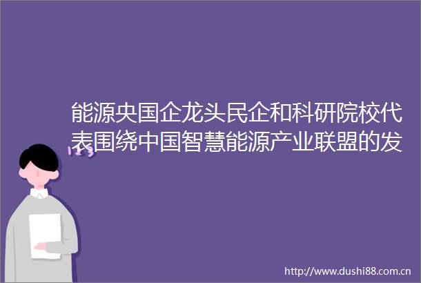 能源央国企龙头民企和科研院校代表围绕智慧能源产业联盟的发展展开交流