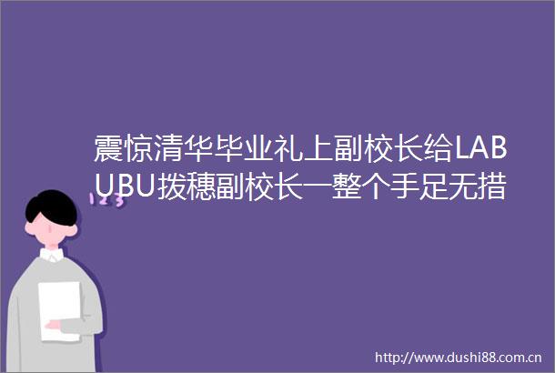 震惊清华毕业礼上副校长给LABUBU拨穗副校长一整个手足无措现场气氛变得轻松有趣