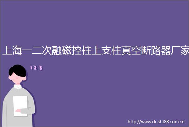上海一二次融磁控柱上支柱真空断路器厂家