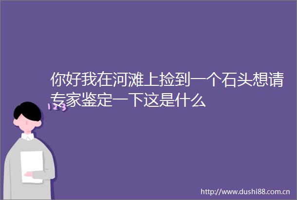 你好我在河滩上捡到一个石头想请专家鉴定一下这是什么