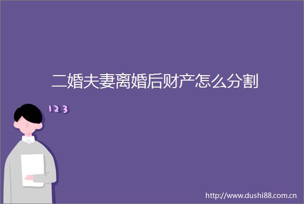 二婚夫妻离婚后财产怎么分割