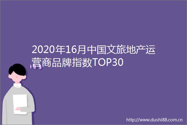 2020年16月文旅地产运营商品牌指数TOP30