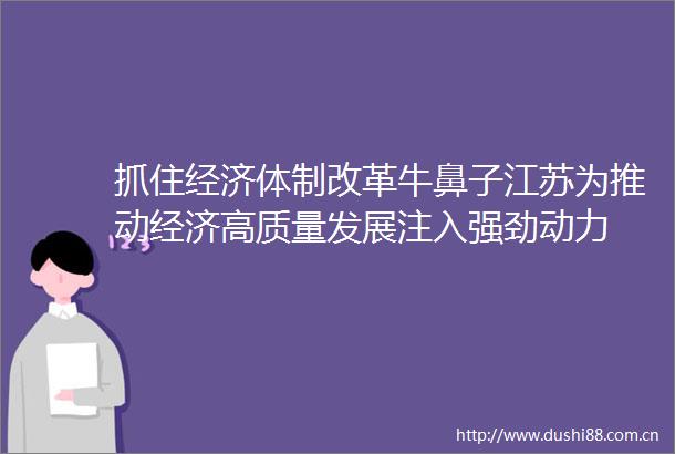 抓住经济体制改革牛鼻子江苏为推动经济高质量发展注入强劲动力