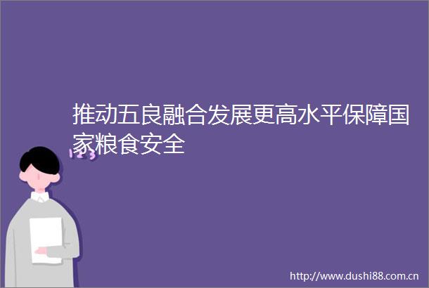 推动五良融合发展更高水平保障粮食安全