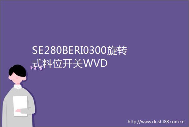 SE280BERI0300旋转式料位开关WVD