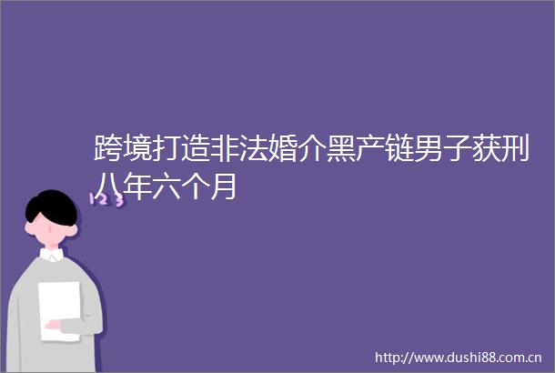 跨境打造婚介黑产链男子获刑八年六个月